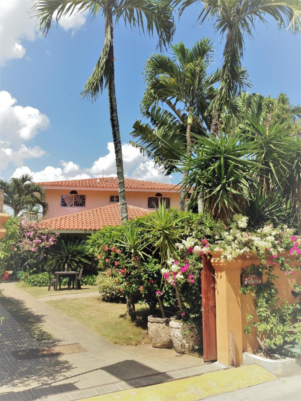 Casa Felicita B&B Y Apartamentos Bayahibe Exterior foto